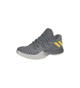 HARDEN B/E J